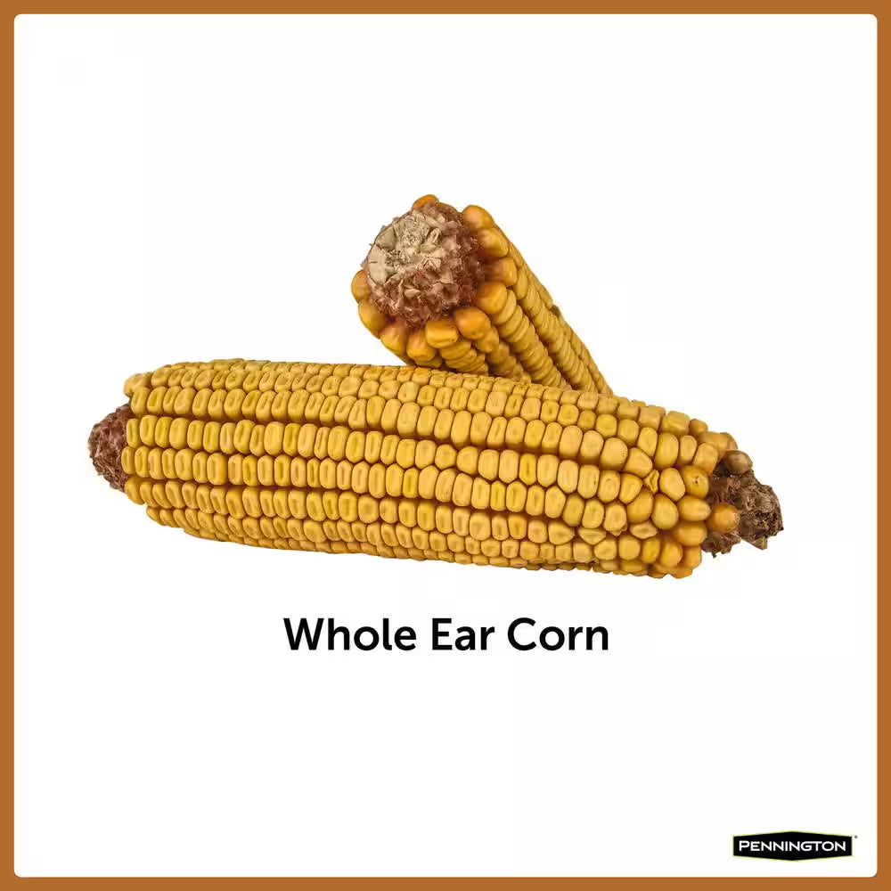 6.5 Lb. Ear Corn Cobs Wildlife Treats for Squirrels, Geese and Ducks